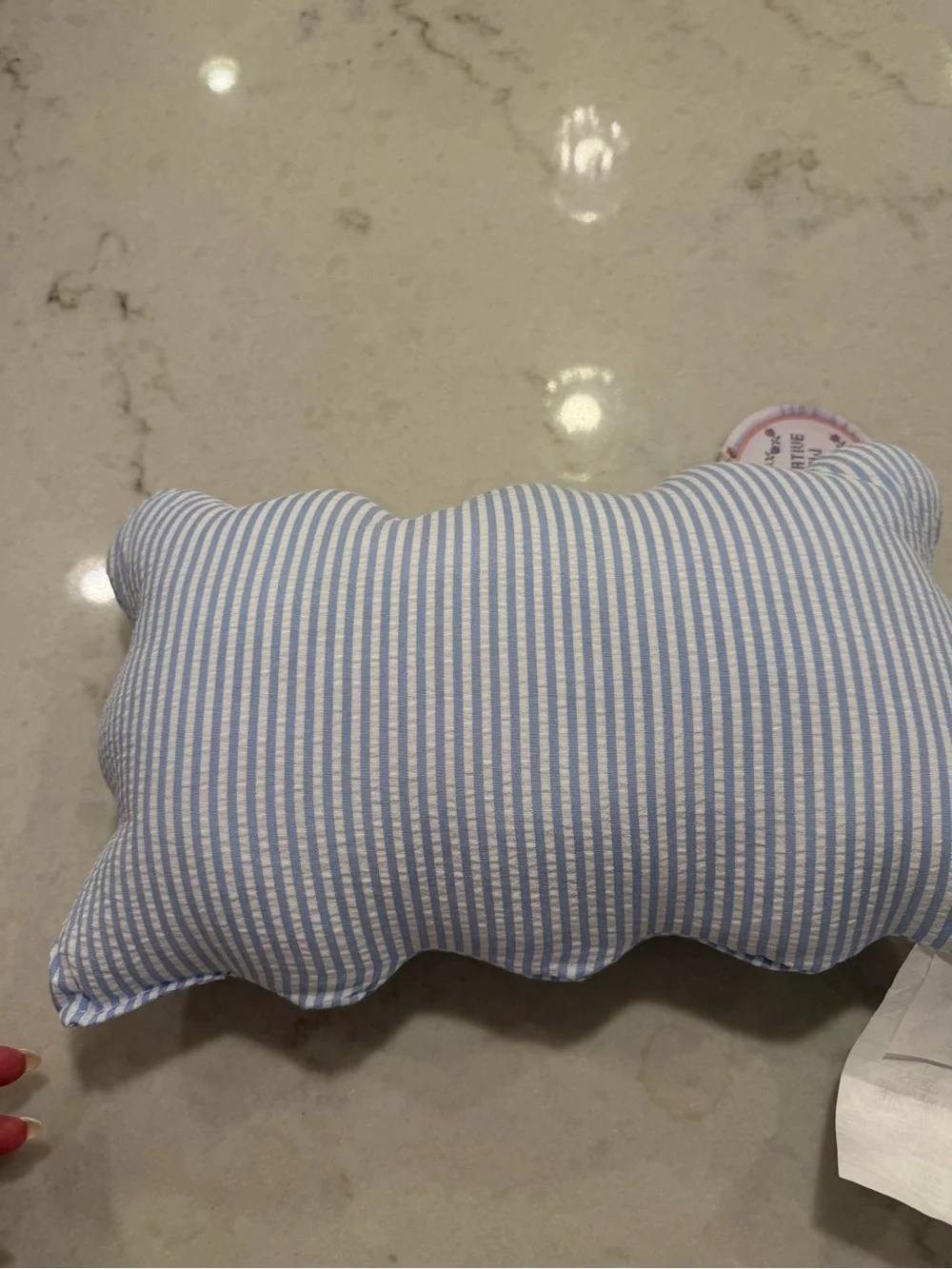 Embroidered 'Just One More Chapter Please' Decorative Pillow - Blue Stripe